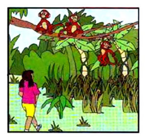 What did you do last week? – A1 English Listening Test 17-6
