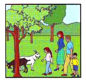 What did you do last week? – A1 English Listening Test 18-2