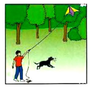 What did you do last week? – A1 English Listening Test 19-4