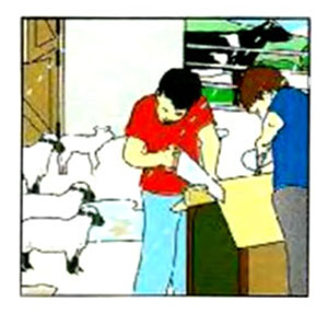 What did you do last week? – A1 English Listening Test 21-2