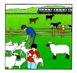 What did you do last week? – A1 English Listening Test 21-6