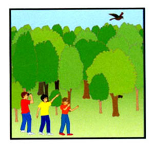 What did you do last week? – A1 English Listening Test 7-6