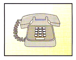 What did you do last week? – A1 English Listening Test 27-3