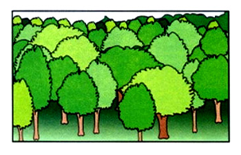 What did you do last week? – A1 English Listening Test 27-4