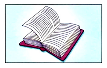 What did you do last week? – A1 English Listening Test 27-3