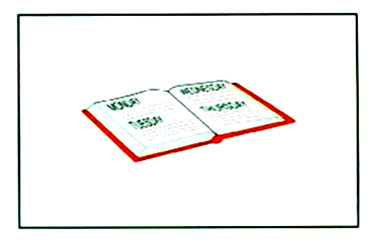 What did you do last week? – A1 English Listening Test 27-3